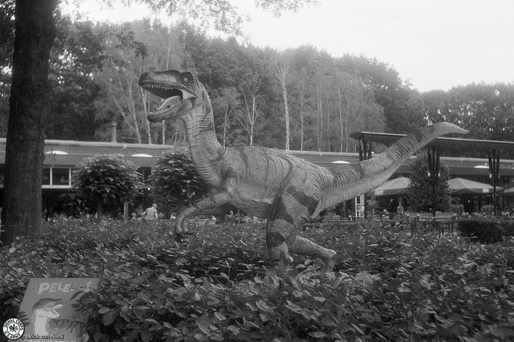 OPL FOCA PF3, Fomapan 400
