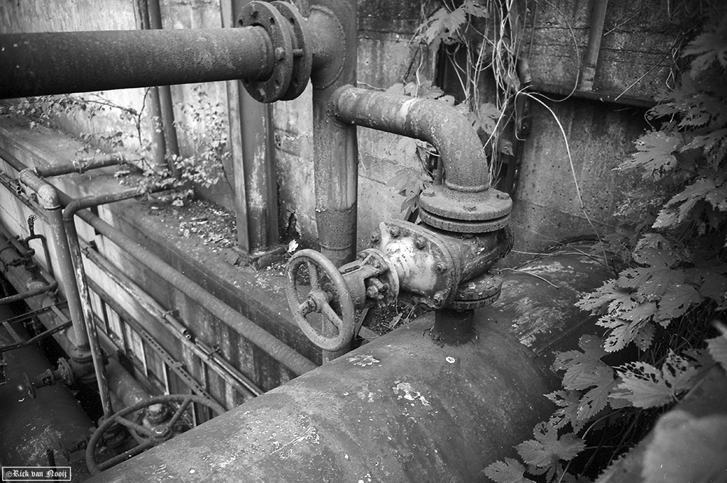 Leica IIIc, Leitz 28mm f/6.3 Hektor, Rollei Retro 80s
