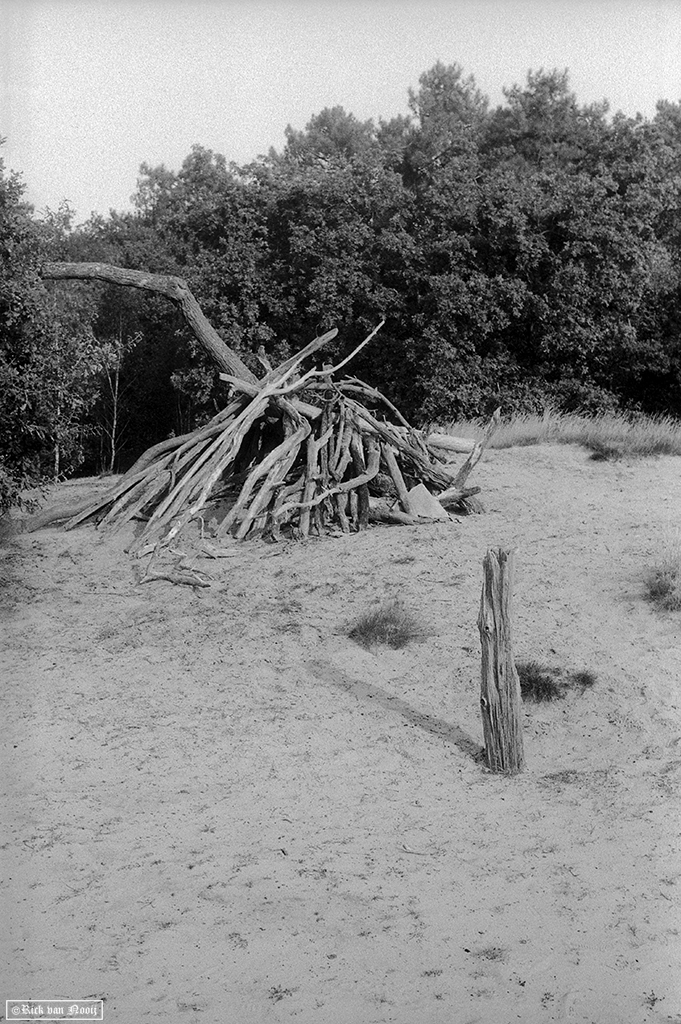 Kentmere 100
