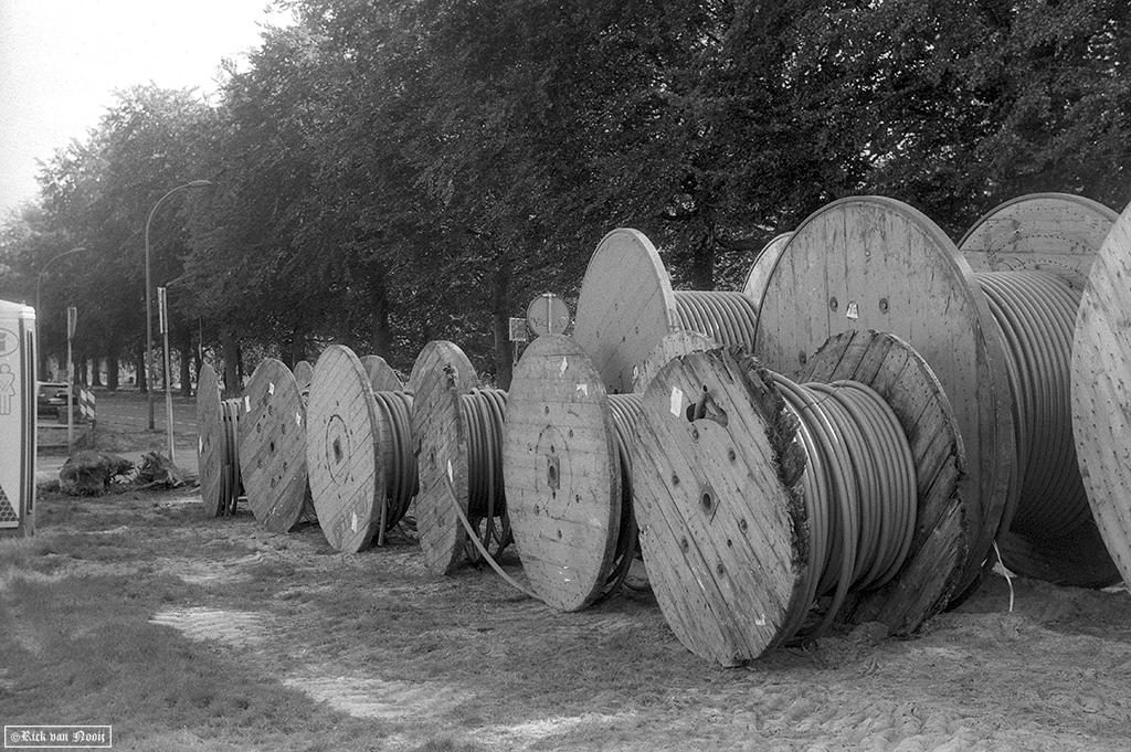 Kentmere 100
