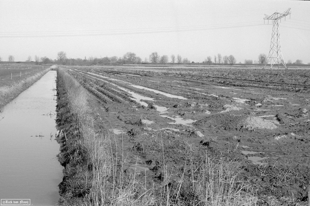 50mm f/2.9 Trioplan, Fomapan 100
