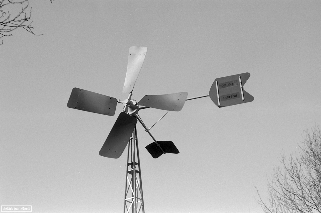 50mm f/2.9 Trioplan, Fomapan 100
