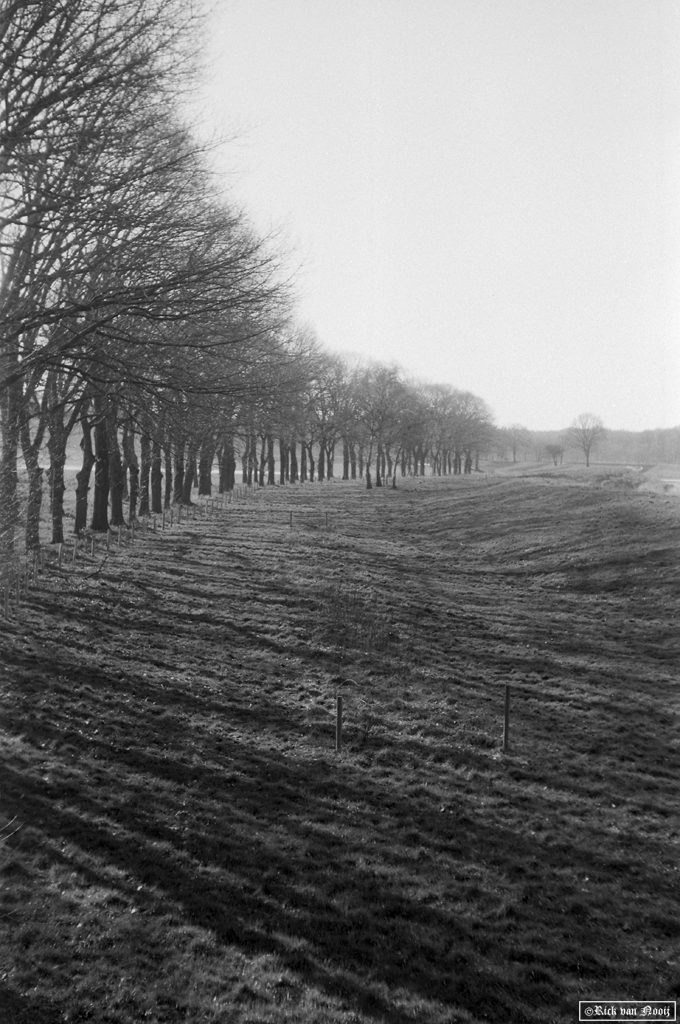 50mm f/2.9 Trioplan, Fomapan 100
