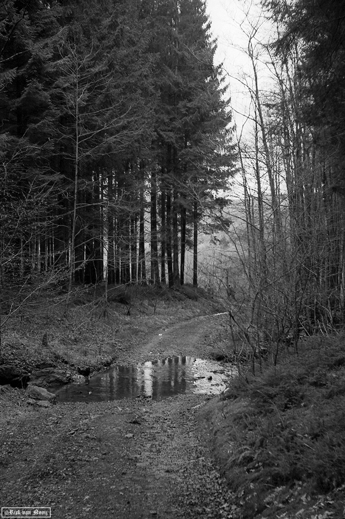 Leica II, 50/1.5 Sonnar, Rollei Retro 80s
