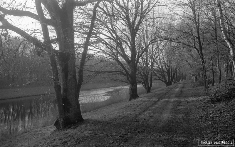 5cm f/3.5 Elmar-M, Fomapan 100
