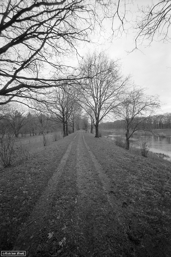 Voigtlander 15mm f/4.5 Super Wide-Heliar, Fomapan 100
