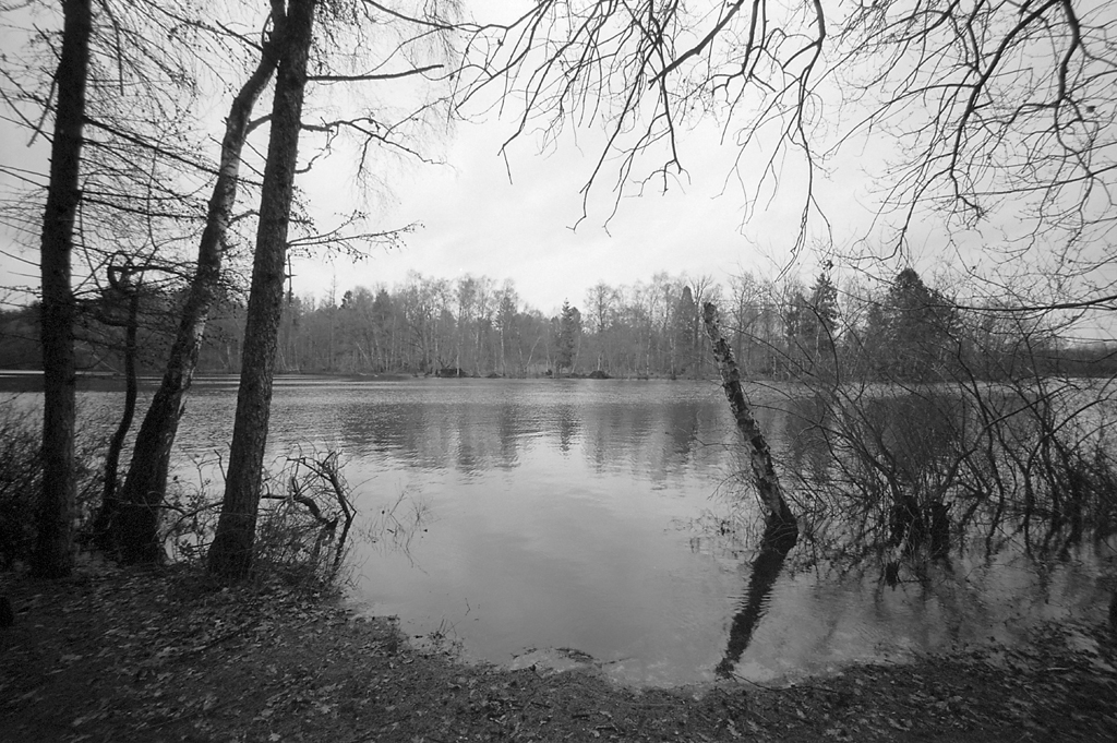 Voigtlander 15mm f/4.5 Super Wide-Heliar, Fomapan 100
