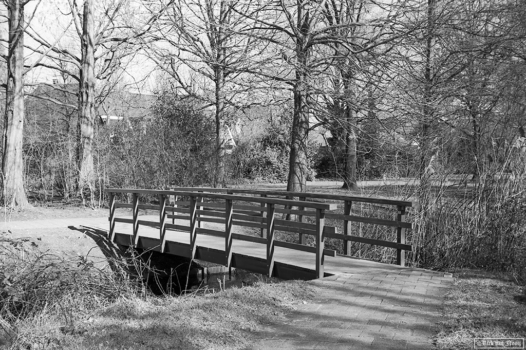 Leica II, 50/1.5 Sonnar, Rollei Retro 80s
