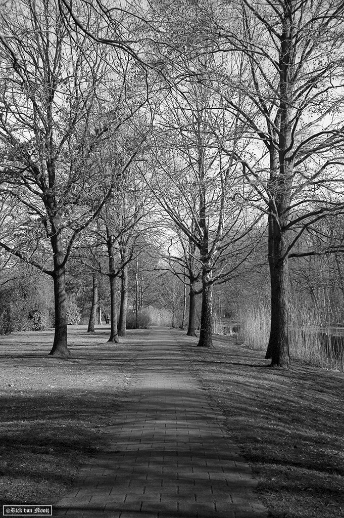 Leica II, 50/1.5 Sonnar, Rollei Retro 80s
