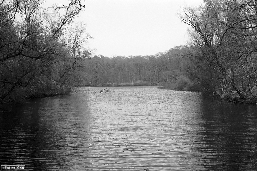 50/2 Summicron, Rollei Retro 80s
