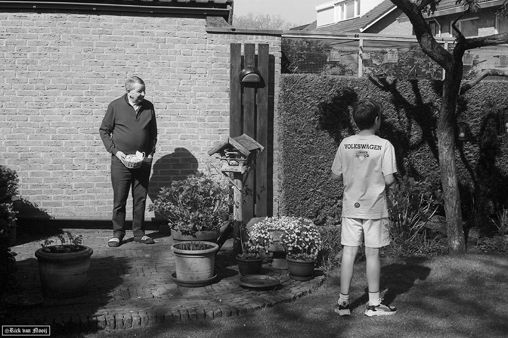 50/2 Summicron, Rollei Retro 80s
