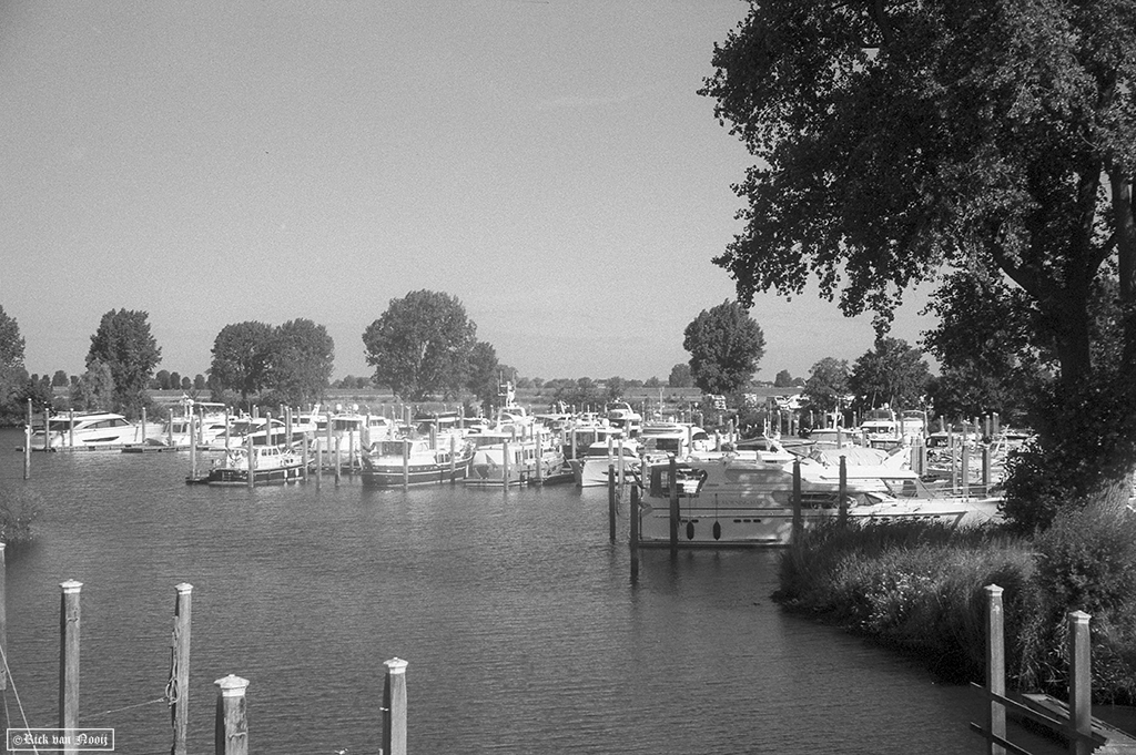 50/1.5 Sonnar, Fomapan 200
