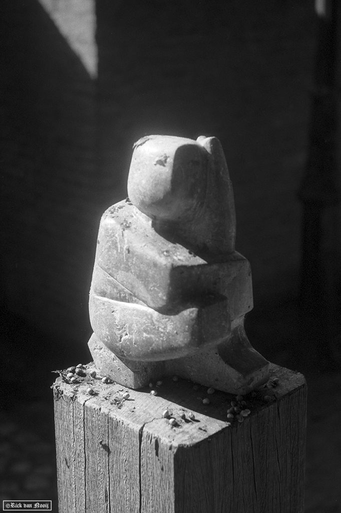 50/1.5 Sonnar, Fomapan 200
