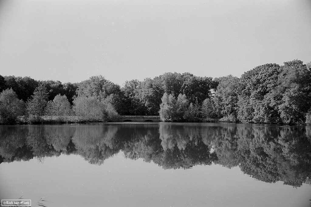 Leica M3 DS, 7Artisans 50/1.1, Adox 50HR
