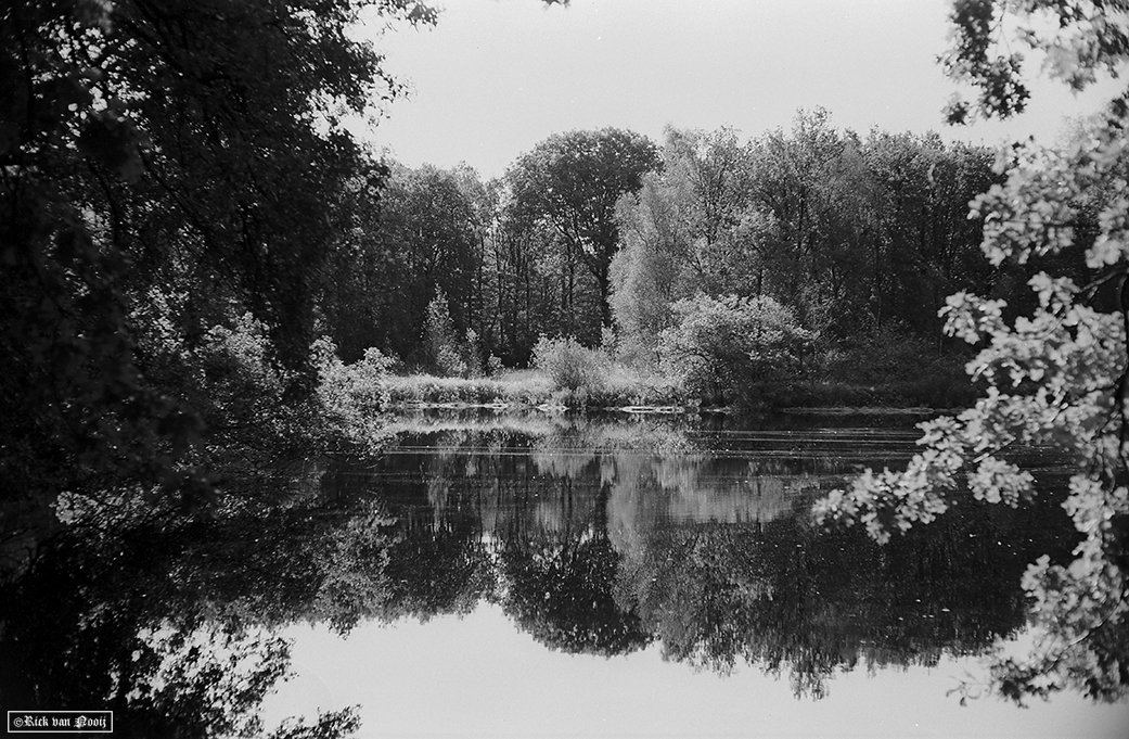 Leica M3 DS, 7Artisans 50/1.1, Adox 50HR
