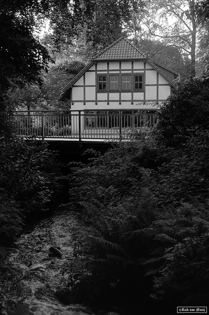 Munster, Yashica Electro-35 GT, Fomapan 200 
