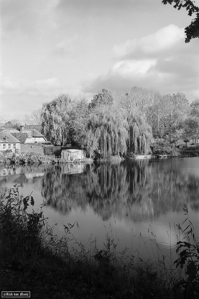 Nikkor-HC 50/2, Rollei Retro 80s
