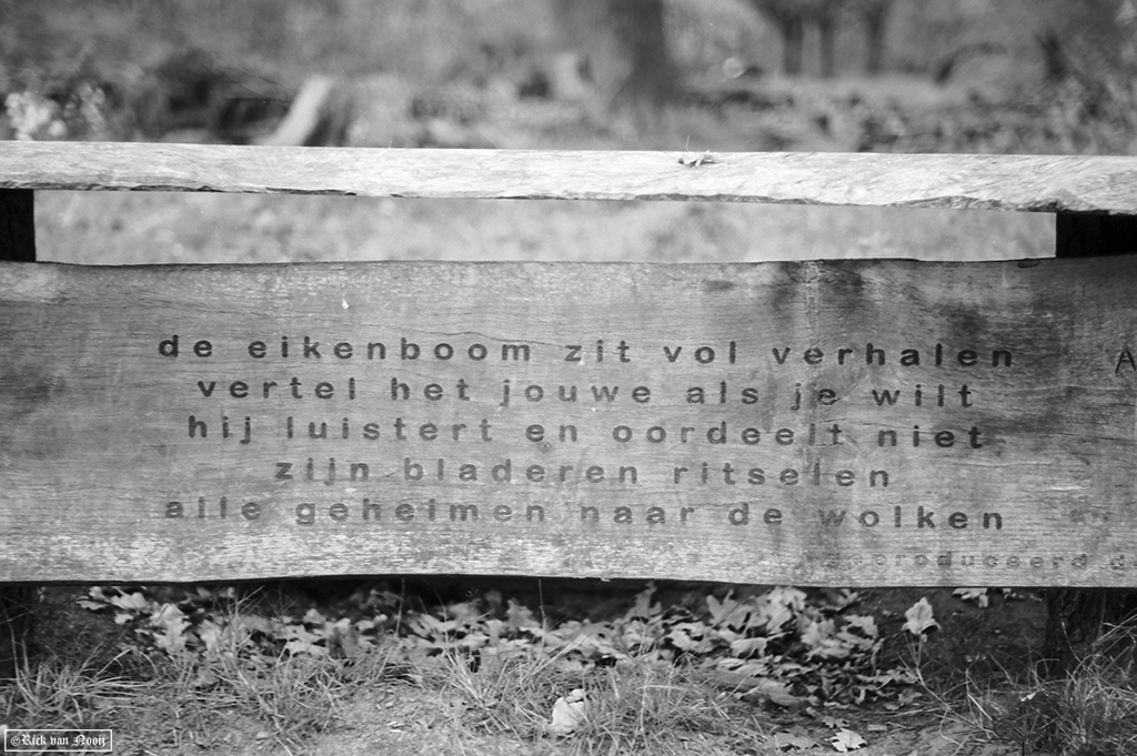 Nikkor-HC 50/2, Rollei Retro 80s
