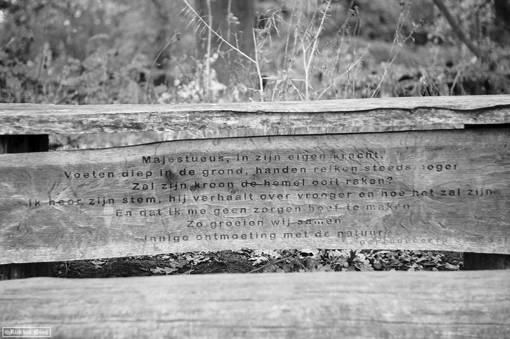 Nikkor-HC 50/2, Rollei Retro 80s
