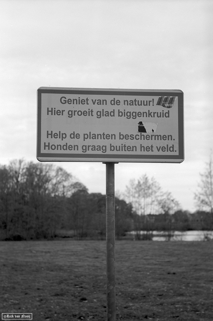 Nikkor-HC 50/2, Rollei Retro 80s
