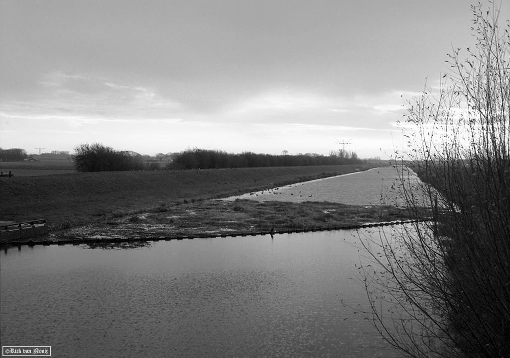 OP251206.jpg