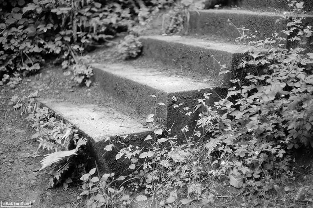 Leica IIIg, 50/2 Summicron, Fomapan 200
