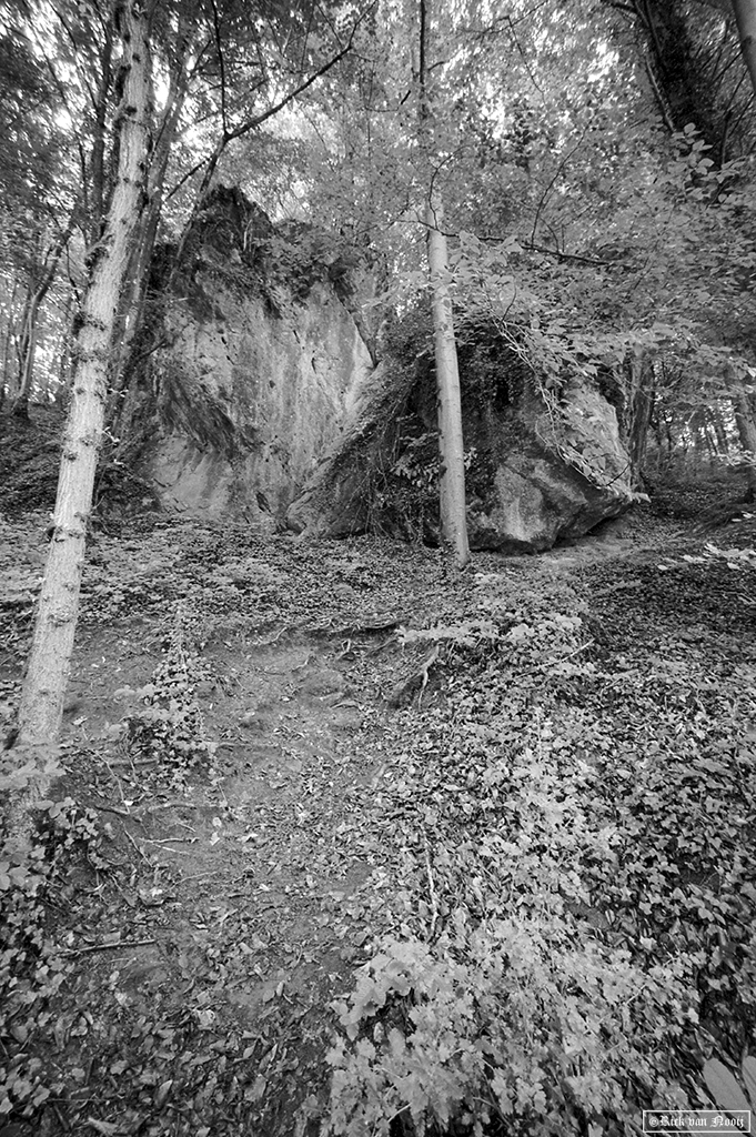 Leica MD-2, Voigtländer Super Wide-Heliar 15mm f/4.5, Fomapan 200
