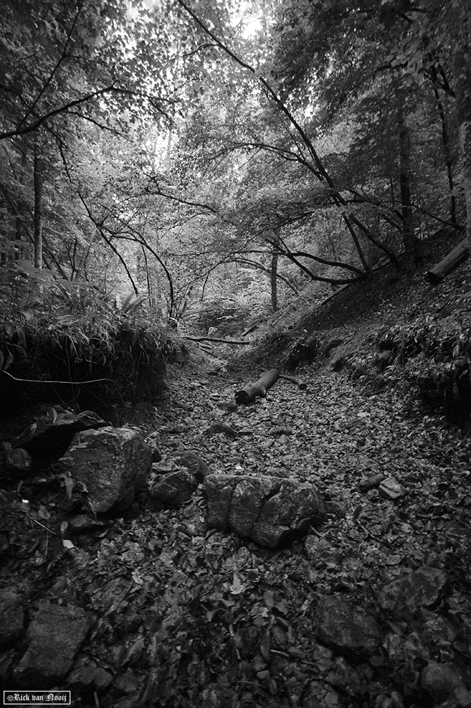 Leica MD-2, Voigtländer Super Wide-Heliar 15mm f/4.5, Fomapan 200
