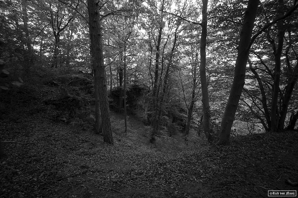 Leica MD-2, Voigtländer Super Wide-Heliar 15mm f/4.5, Fomapan 200
