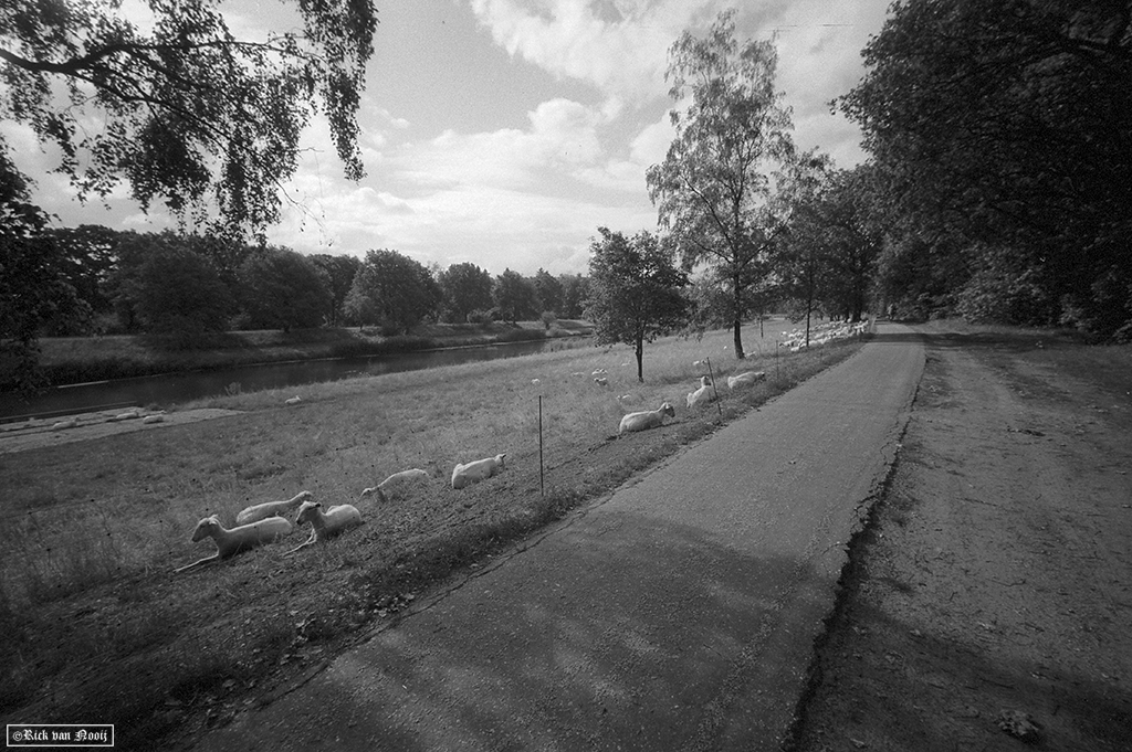 Leica MD-2, Fomapan 200

