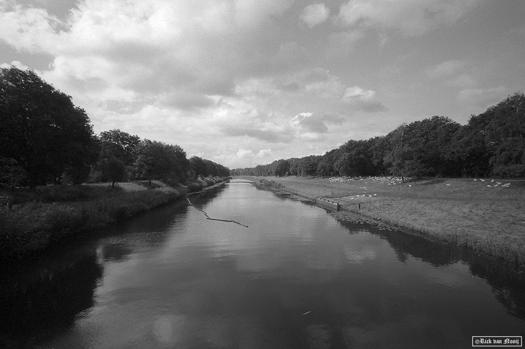 Leica MD-2, Fomapan 200
