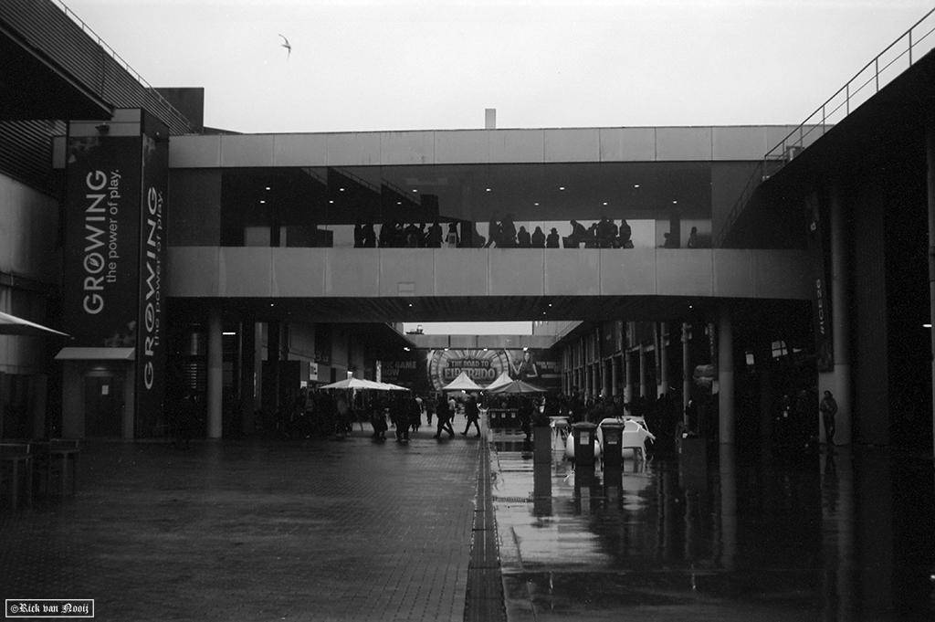 Voigtländer Vitessa N, Color-Skopar 50/3.5, Rollei Retro 80s
