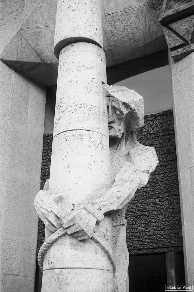 Voigtländer Vitessa N, Color-Skopar 50/3.5, Rollei Retro 80s
