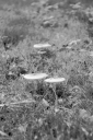 Filename=AU251008.jpg
Filesize=411KiB
Dimensions=681x1024
Date added=Oct 12, 2025 AU251008.jpg