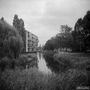 BT260704.jpg