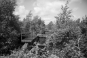 DB250519.jpg