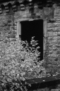 Filename=HR251010.jpg
Filesize=552KiB
Dimensions=681x1024
Date added=Oct 08, 2025 HR251010.jpg