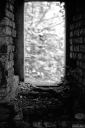 Filename=HR251016.jpg
Filesize=432KiB
Dimensions=681x1024
Date added=Oct 08, 2025 HR251016.jpg