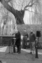 KV260110.jpg