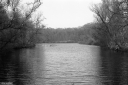 Filename=LT250404.jpg
Filesize=491KiB
Dimensions=1024x681
Date added=May 04, 2025 LT250404.jpg