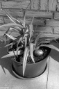 Filename=LT250408.jpg
Filesize=450KiB
Dimensions=681x1024
Date added=May 04, 2025 LT250408.jpg