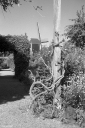 LT260703.jpg