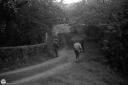 Filename=OC260413.jpg
Filesize=438KiB
Dimensions=1024x681
Date added=Apr 14, 2026 OC260413.jpg