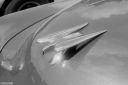 OD250818.jpg