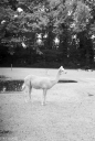 Filename=OP250601.jpg
Filesize=323KiB
Dimensions=540x800
Date added=Jul 06, 2025 OP250601.jpg