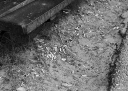 Filename=OP250603.jpg
Filesize=408KiB
Dimensions=800x570
Date added=Jul 06, 2025 OP250603.jpg