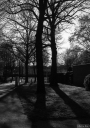 OP251217.jpg