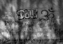 OP251224.jpg