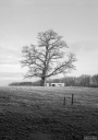 Filename=OP251226.jpg
Filesize=422KiB
Dimensions=720x1024
Date added=Jan 03, 2026 OP251226.jpg