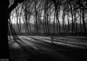 Filename=OP251230.jpg
Filesize=456KiB
Dimensions=1024x720
Date added=Jan 03, 2026 OP251230.jpg